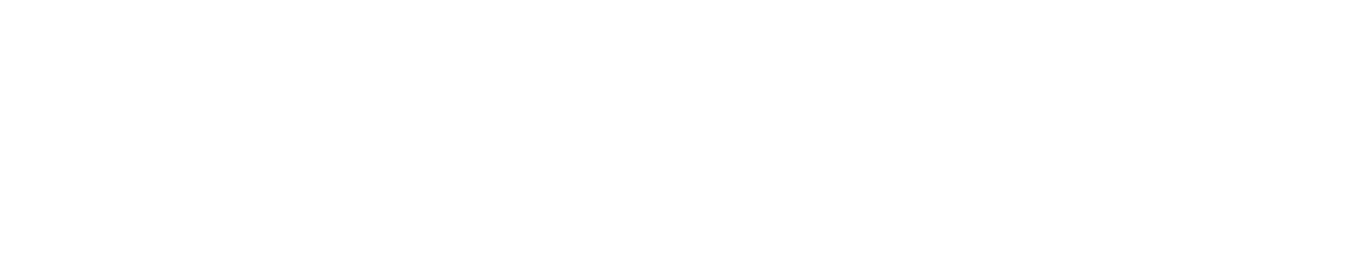 HolistiCann Logotype White